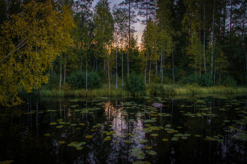 Картинка природа реки озера простор