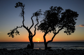 Картинка природа восходы закаты простор