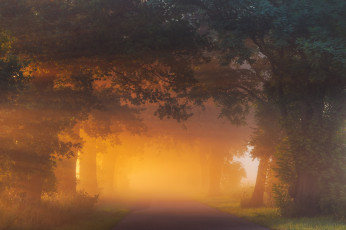 Картинка природа восходы закаты простор