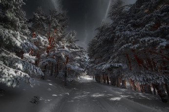 Картинка природа зима простор