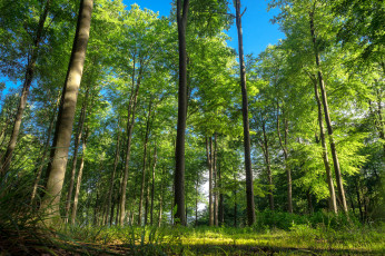 Картинка xxx девушка взгляд фон грудь avery обнаженная поза эротика nude solo posing erotic фотосессия sexy cuter сексуальная молодая богиня киска модель petite cute young goddess beauty голая фото