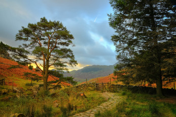 Картинка природа пейзажи простор