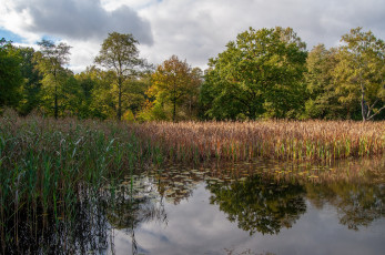 Картинка природа реки озера простор