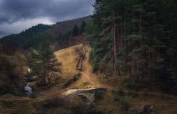 Картинка природа пейзажи простор