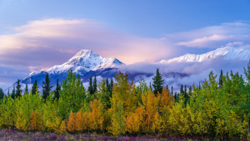 Картинка природа горы простор