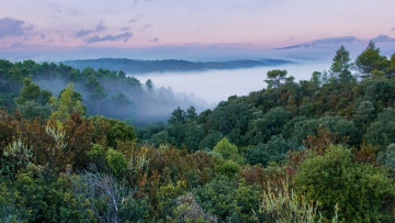 Картинка природа пейзажи простор