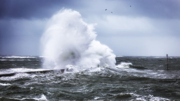 Картинка природа стихия простор