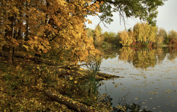 Картинка природа реки озера простор