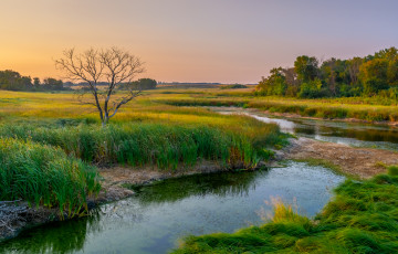 Картинка природа реки озера простор