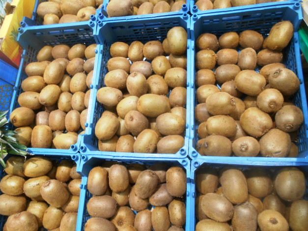 Обои картинки фото еда, киви, фрукты