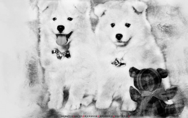 Обои картинки фото календари, компьютерный дизайн, мишка, медведь, игрушка, собака, животное