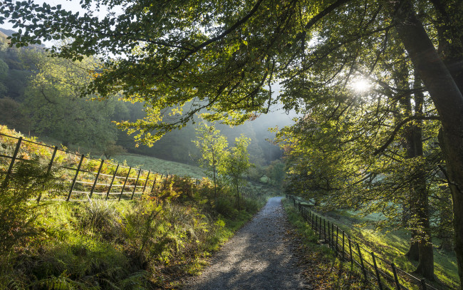 Обои картинки фото природа, дороги, простор