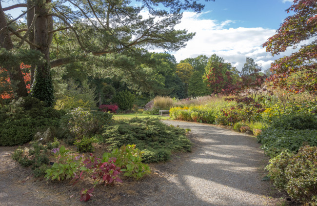 Обои картинки фото природа, парк, простор