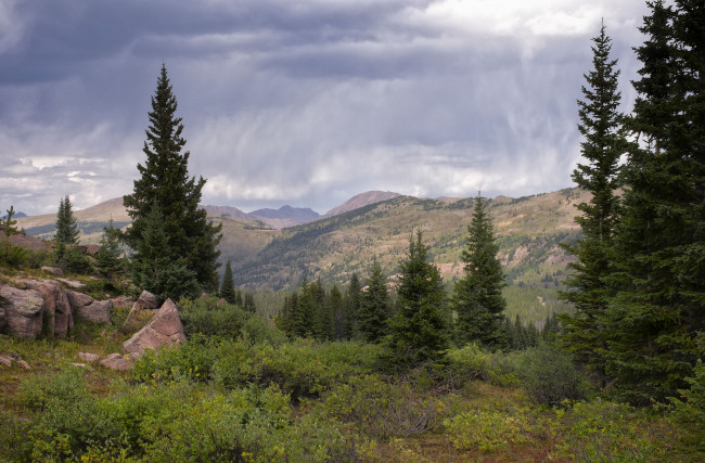 Обои картинки фото природа, пейзажи, простор