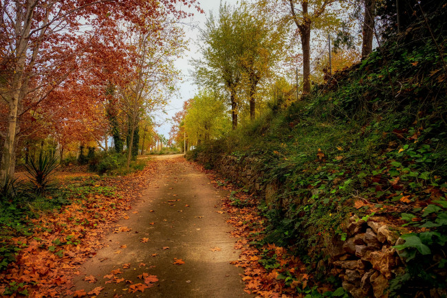 Обои картинки фото природа, дороги, простор