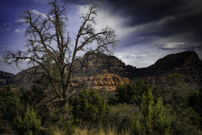 Обои картинки фото природа, пейзажи, простор