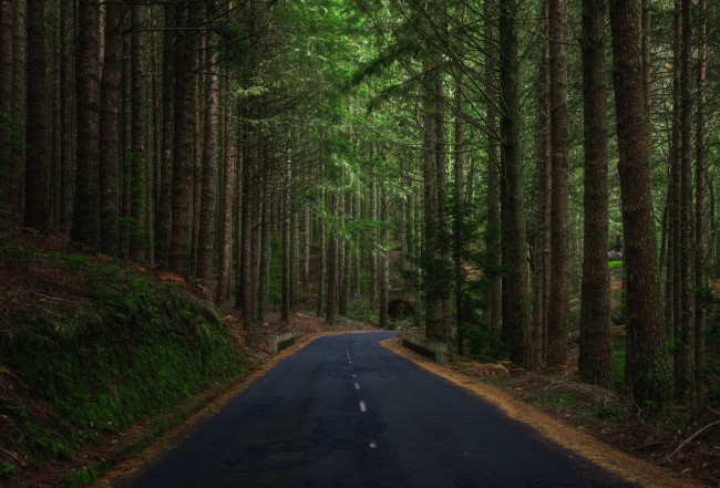 Обои картинки фото природа, дороги, простор