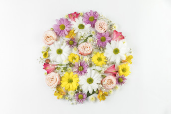 Картинка цветы разные+вместе альстромерия герберы розы