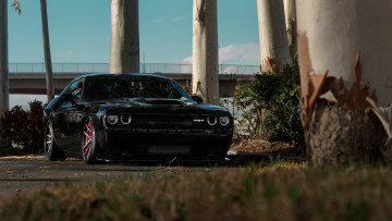 Картинка автомобили dodge challenger