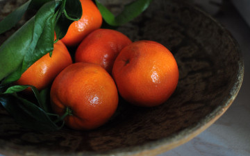 Картинка еда цитрусы мандарины
