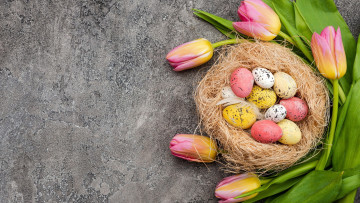обоя праздничные, пасха, тюльпаны, гнездо, крашенки