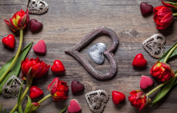 Картинка праздничные день+святого+валентина +сердечки +любовь тюльпаны сердечки