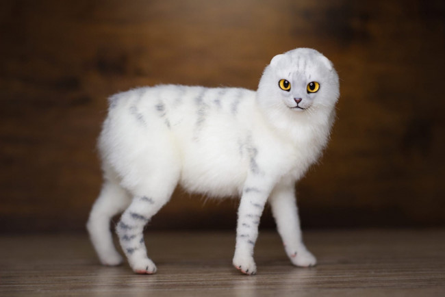 Обои картинки фото разное, игрушки, кот, фигурка