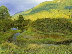 Картинка природа