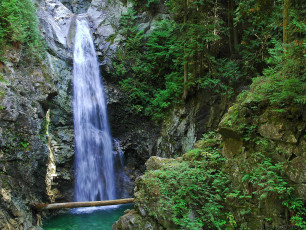 Картинка природа