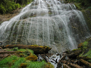 Картинка природа