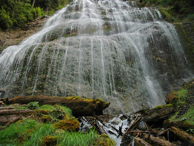 Обои картинки фото природа