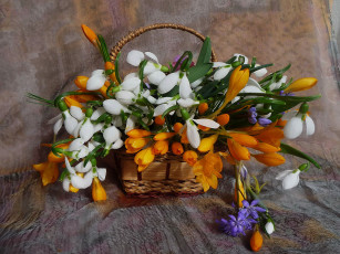 Картинка цветы букеты композиции