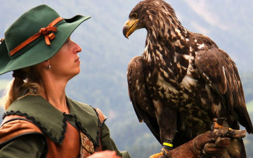 Картинка животные птицы хищники