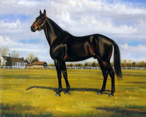 Картинка рисованные животные лошади