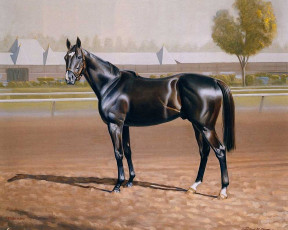 Картинка рисованные животные лошади