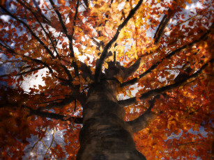 Картинка рисованные природа