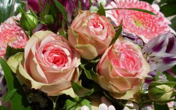 Картинка цветы разные вместе