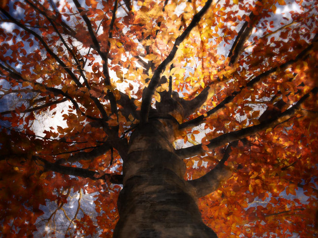 Обои картинки фото рисованные, природа