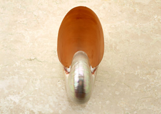 Картинка разное ракушки кораллы декоративные spa камни ракушка