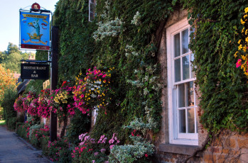 Картинка города здания дома вывеска цветы дом