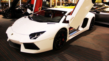 Картинка lamborghini aventador автомобили выставки уличные фото италия спортивный люкс