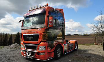 Картинка автомобили man truck кабина