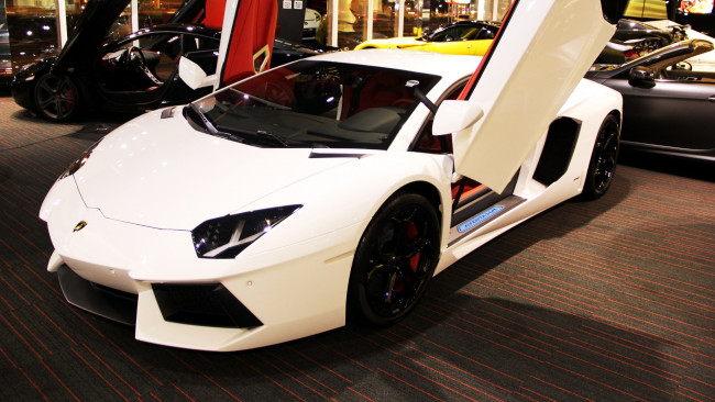 Обои картинки фото lamborghini, aventador, автомобили, выставки, уличные, фото, италия, спортивный, люкс