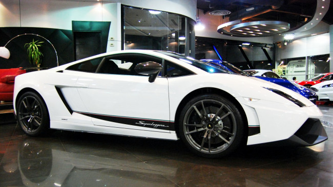 Обои картинки фото lamborghini, gallardo, автомобили, выставки, уличные, фото, элитный, спортивный, италия