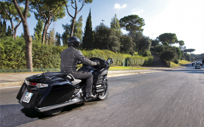 Обои картинки фото мотоциклы, honda, gold, the, wing, f6b, motorcycle