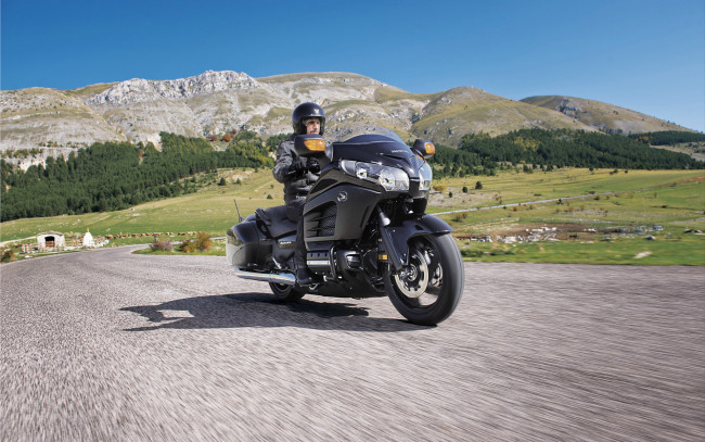 Обои картинки фото мотоциклы, honda, gold, the, wing, f6b, motorcycle