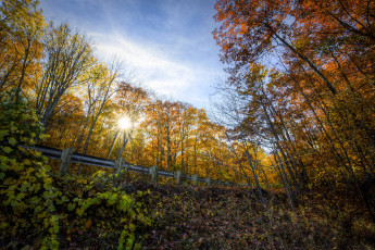 Картинка природа восходы закаты ограда овраг лес солнце