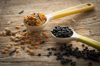 Картинка еда крупы +зерно +специи +семечки крупа ложки