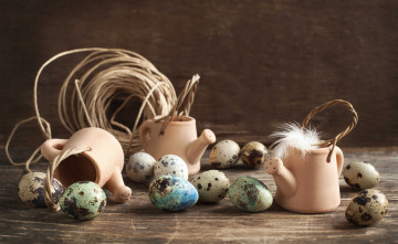 Картинка еда Яйца яйца оформление перо