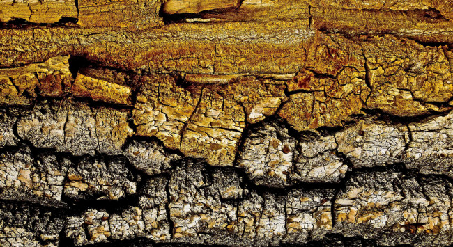 Обои картинки фото разное, текстуры, фон, текстура, трещины, дерево